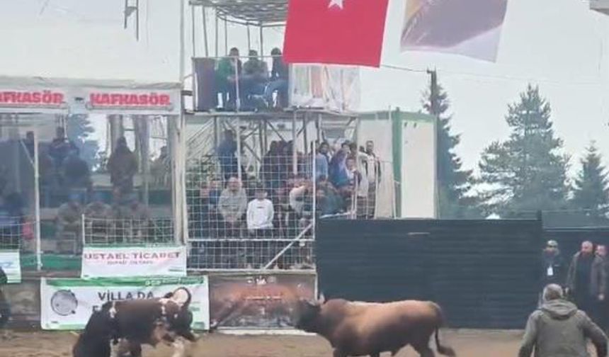 Sözde festivalde sabine acımadı