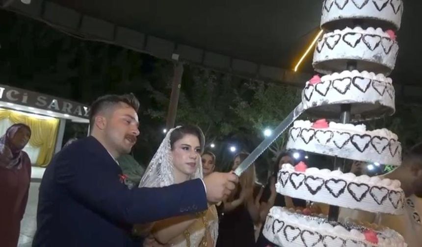 Düğün pastası davetlileri zehirledi