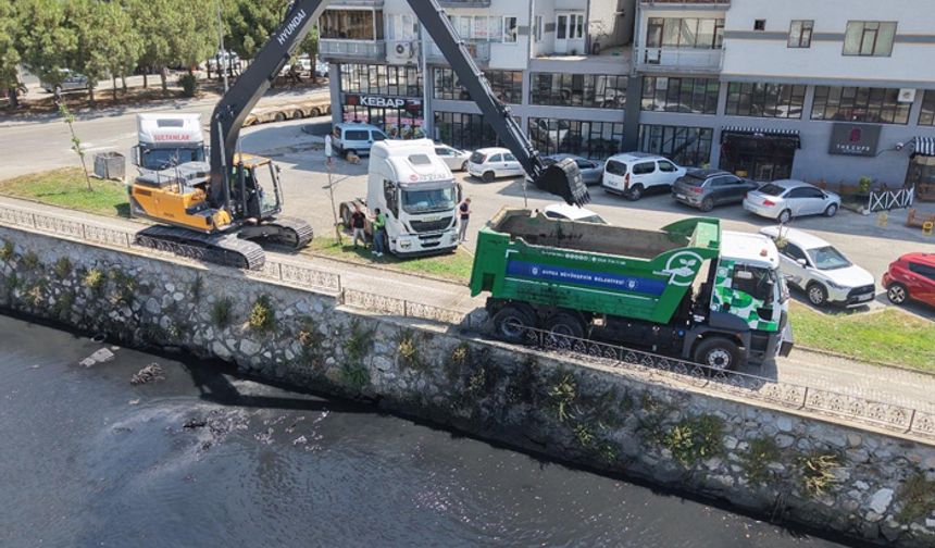 Gemlik'teki o dere temizleniyor