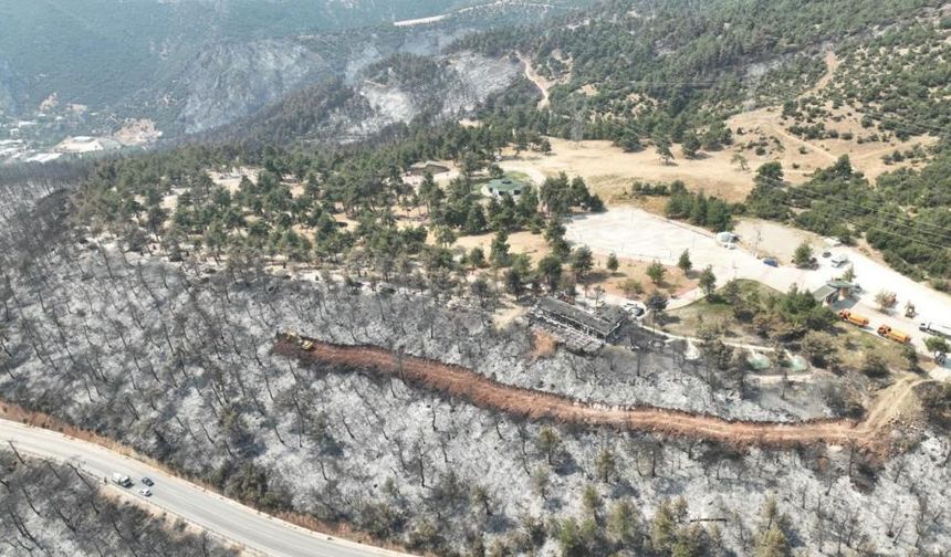 Bursa'da yanan ormanlar yeşerecek, kampanya başladı