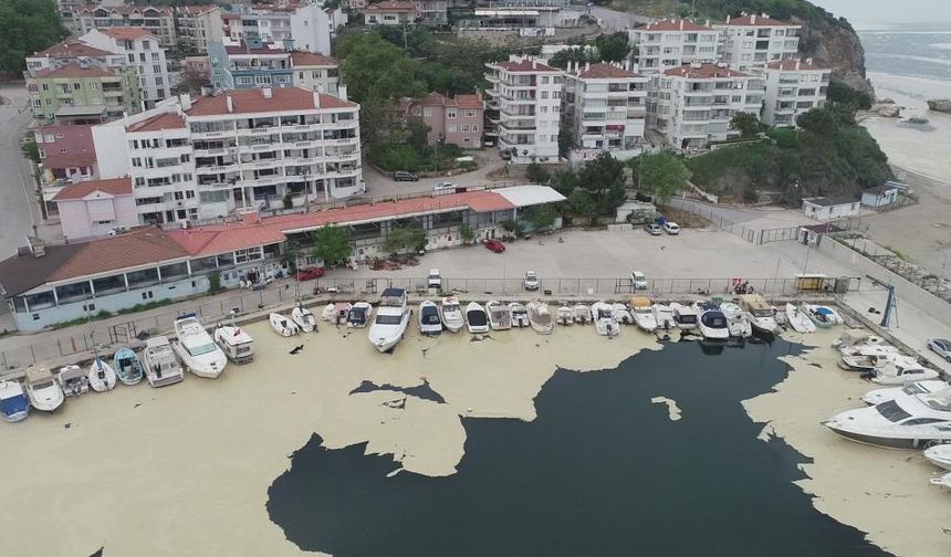 Müsilaj, Gemlik'teki balıkçıları zarara uğrattı