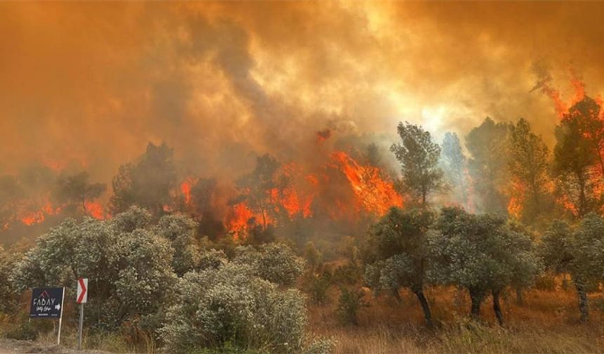 Antalya'da ormanlar yanıyor!
