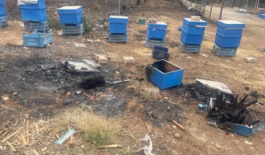 Bursa'da arıcılara kovan desteği