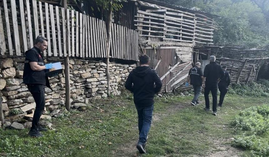 Kestane kavgası, 3 kişiyi kurşuna dizdiler!