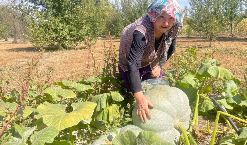 Beton dairelerden kurtulun, kırsalda nefes alın