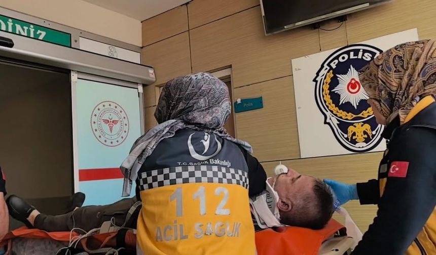Ceviz ağacında feci olay!