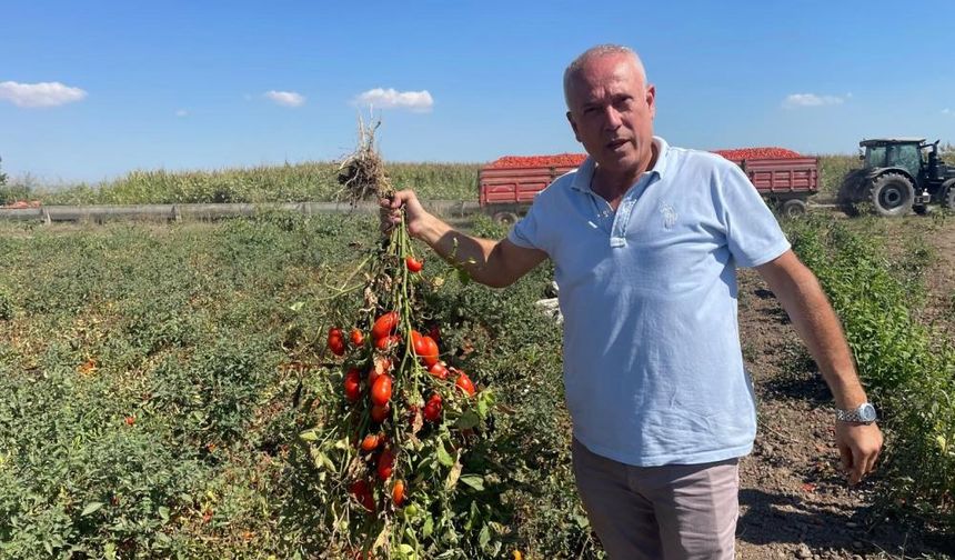 Parasını betona değil, tarlaya yatırdı