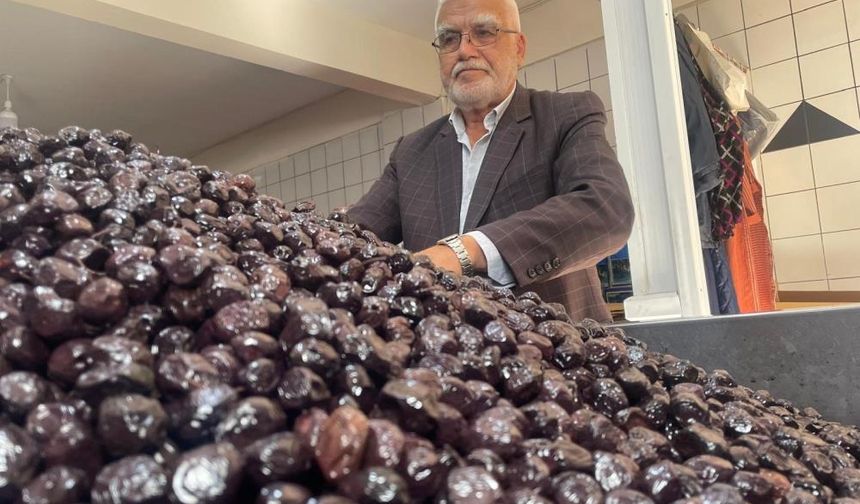 'Almanya'ya satarsak, bizim insanımız zeytin yiyemez'