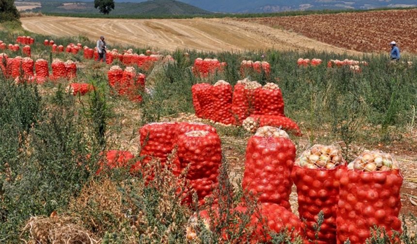 Çiftçilerin geliri artacak