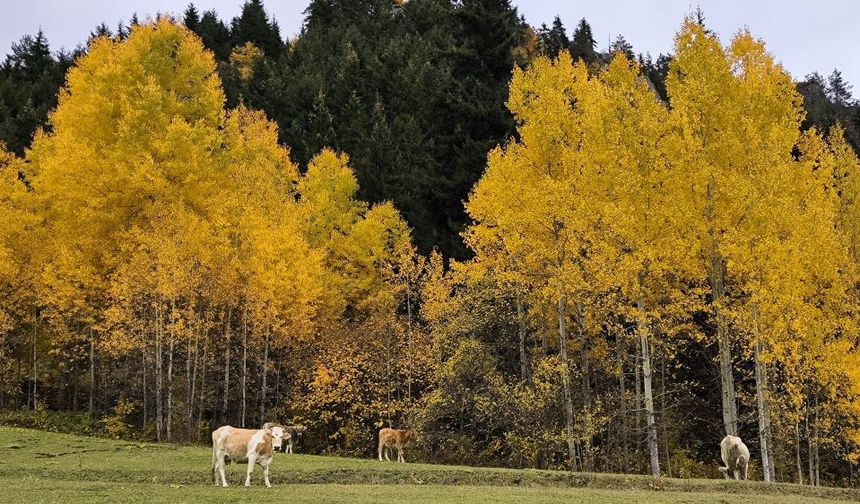 Muhteşem doğasıyla göz kamaştırıyor