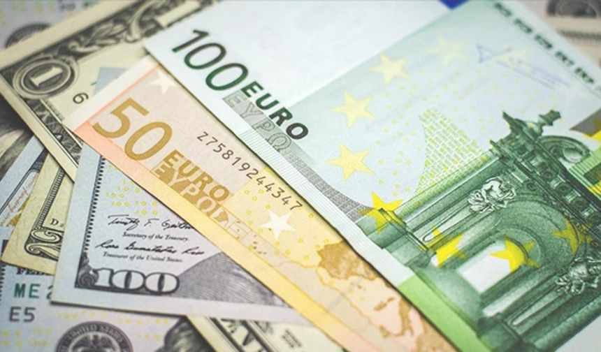 EURO 50 TL sınırına yaklaştı!