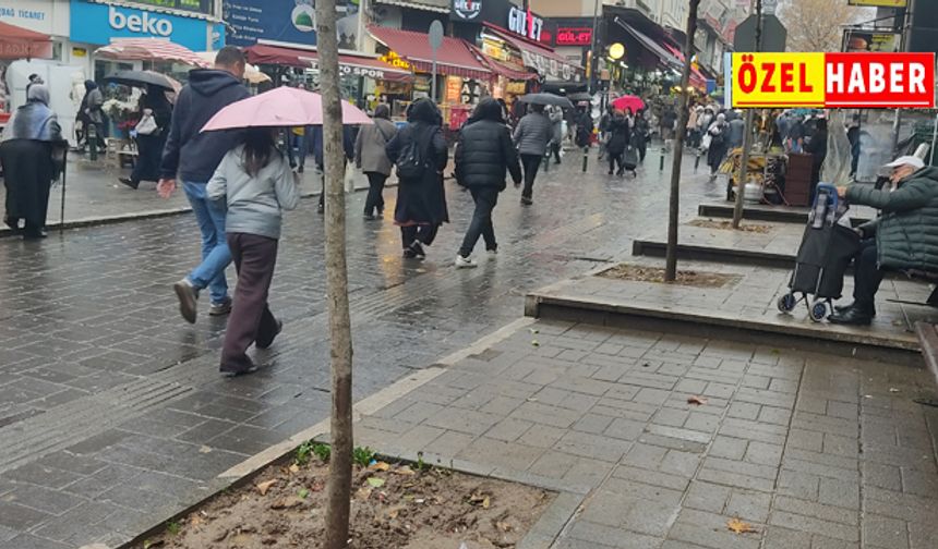Şehreküstü'nde kuruyan, kesilen ağaçlar yeniden yeşerdi