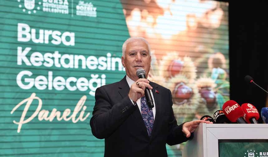 Mustafa Bozbey: Bursa kestanesini yeniden kazanmalıyız