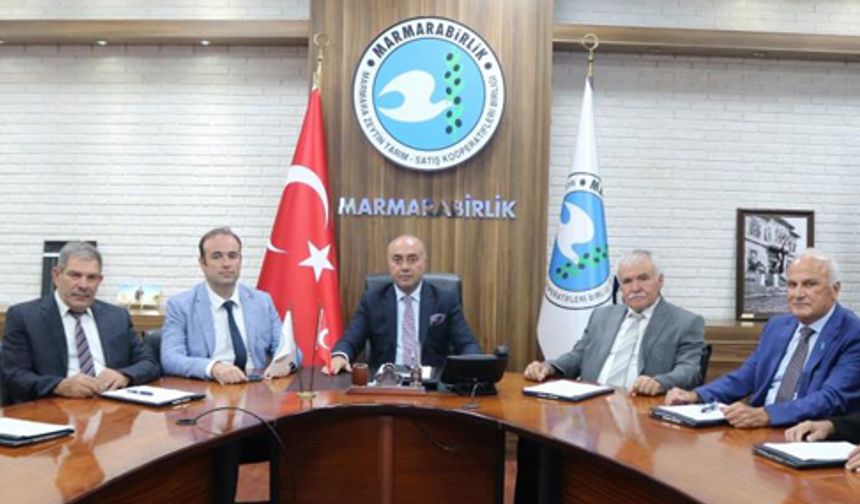 Zor durumdaki zeytin üreticisine Marmarabirlik'ten kredi desteği