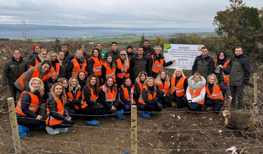 BUSADER, yanan ormanları fidanlarla buluşturdu