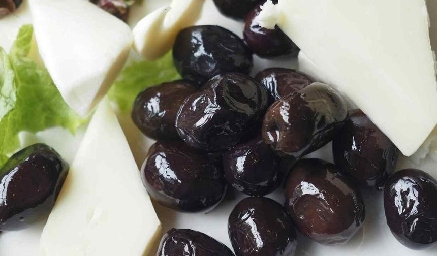 'Çiftçilerimiz Bursa'mızın can damarıdır'